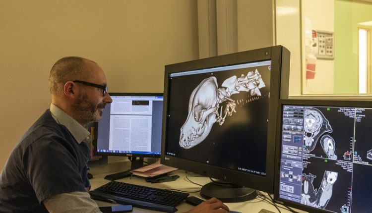 University of Liverpool