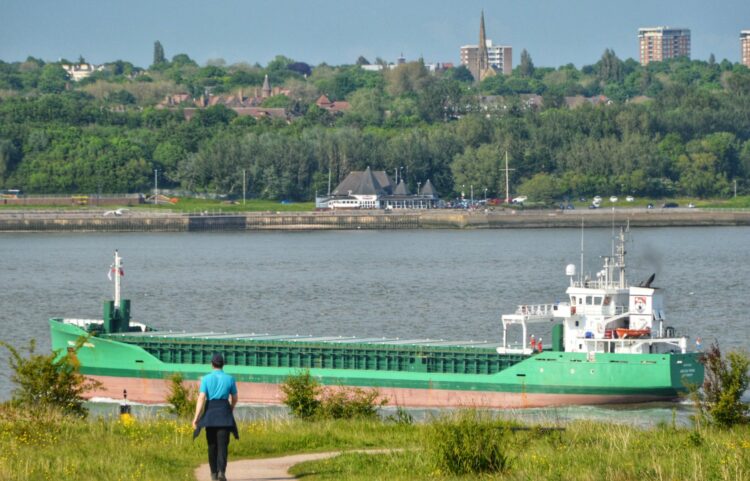 Arklow Viking