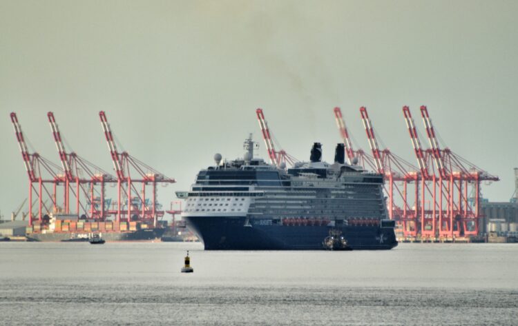 Celebrity Silhouette