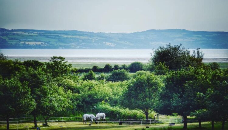 Wirral