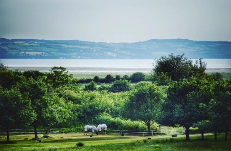 Wirral