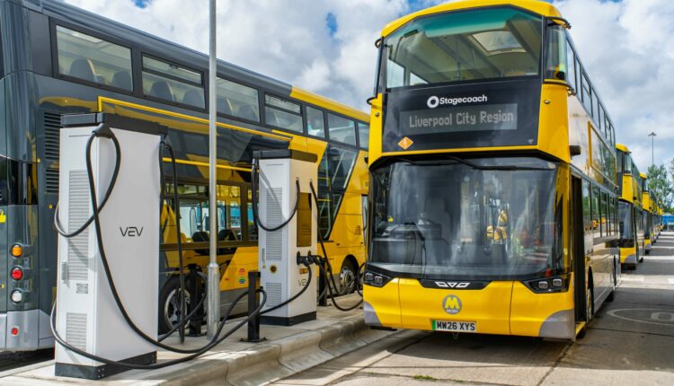 Bus