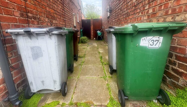 Wheelie bins