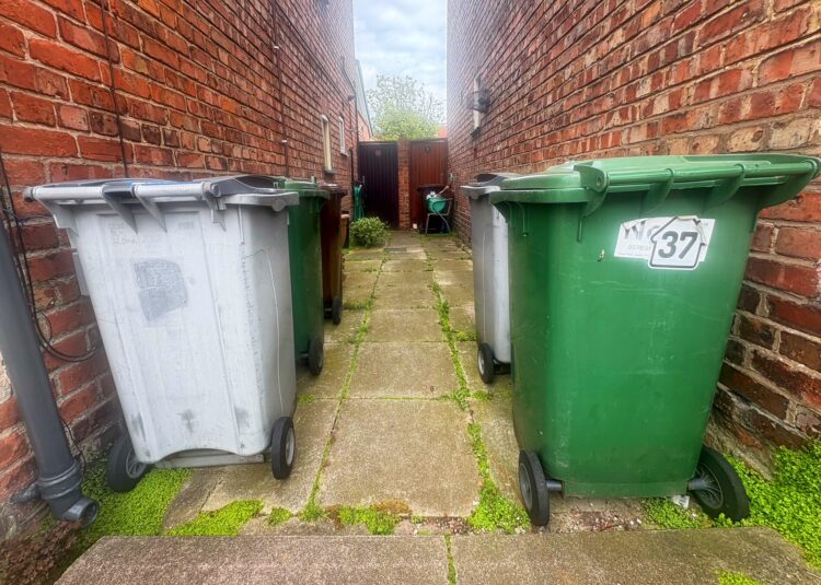 Wheelie bins