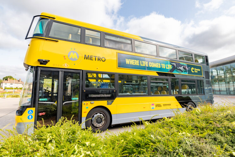 bus