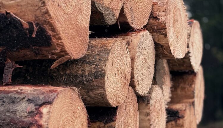 Timber, wood