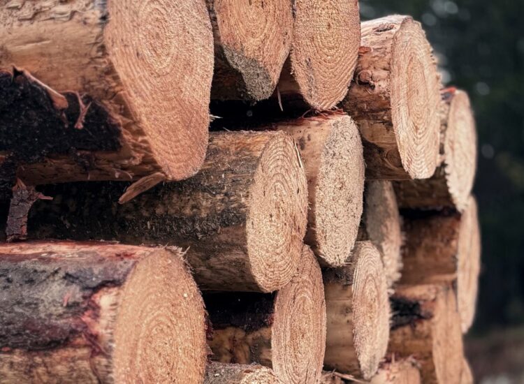 Timber, wood