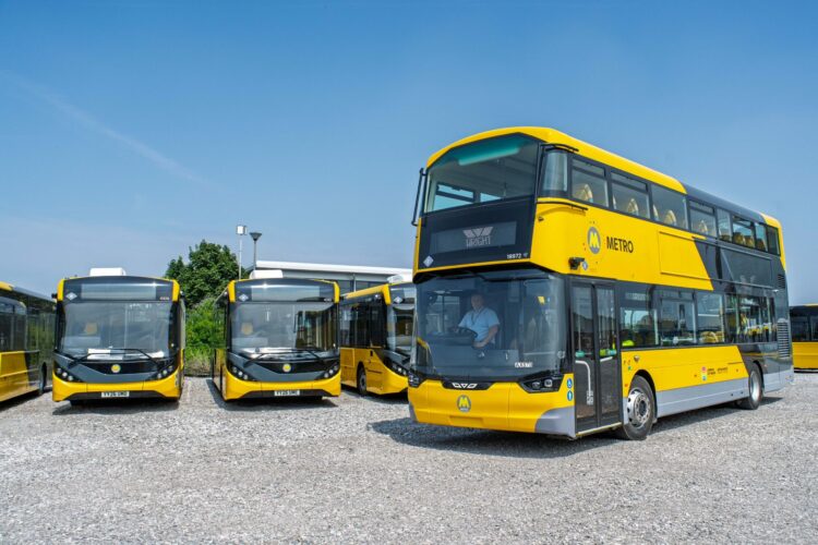 Buses