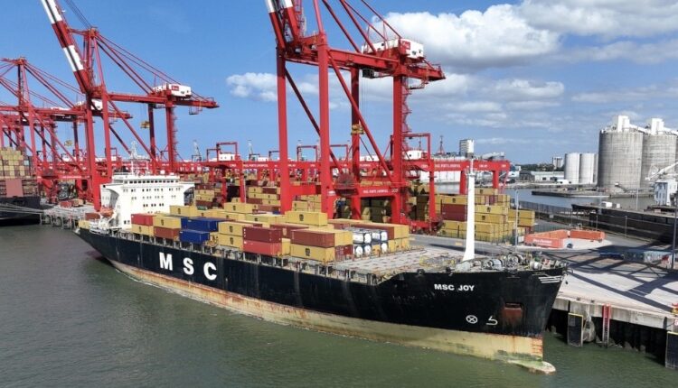 MSC Joy